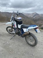 IMG_7774.jpeg IMG_7774.jpeg