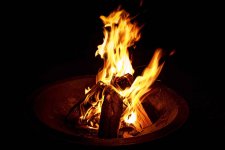 IMG_2067.jpeg