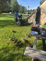 IMG_2088.jpeg