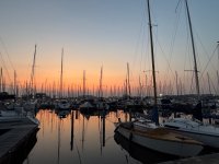 IMG_2822.jpeg