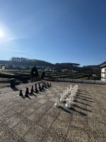 IMG_6050.jpeg