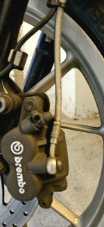 20260322_131214.jpg 20260322_131214.jpg