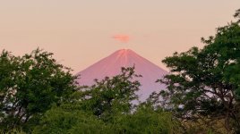 IMG_7957.jpeg