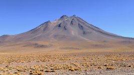 IMG_7962.jpeg