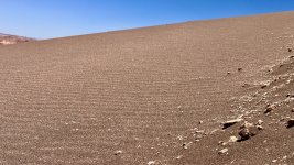 IMG_8204.jpeg