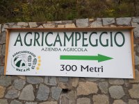 20250918_080512 Camp Demonte.jpg